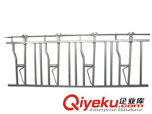 青島廠家加工出口3米長(zhǎng)牛欄 馬欄 牛頸枷等機(jī)械養(yǎng)殖設(shè)備