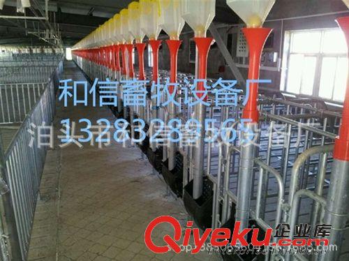 自動(dòng)化養(yǎng)豬設(shè)備 肥豬自動(dòng)上料  保證質(zhì)量