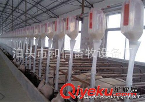 自動(dòng)化養(yǎng)豬設(shè)備 肥豬自動(dòng)上料  保證質(zhì)量原始圖片2
