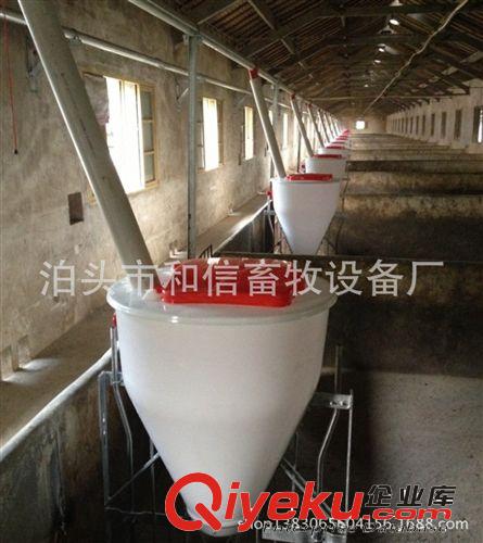 全自動豬場設備  自動喂料 專為中小養殖戶設計