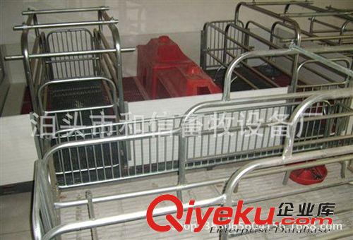 豬用設備 母豬產床 保育床 定位欄 生產廠家 質量保證原始圖片2