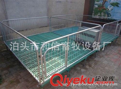 復合板母豬產床    豬用保育床,原始圖片2