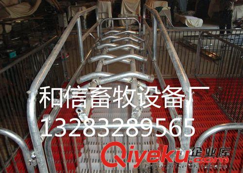,母豬產床,保育床 定位欄 養豬設備