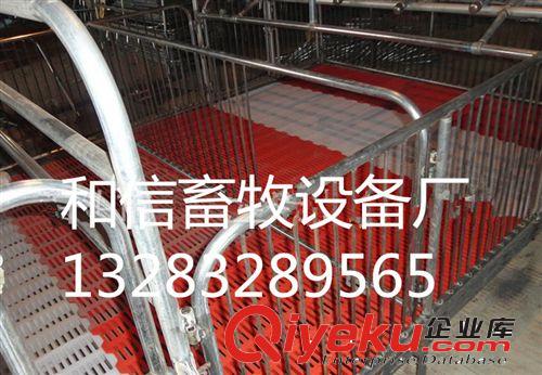 養豬設備 豬用產床 母豬產床 保育床  兩用型產床，省錢省力原始圖片2