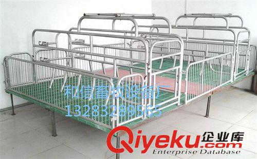 養豬設備  復合板  母豬產床 豬用保育床原始圖片2