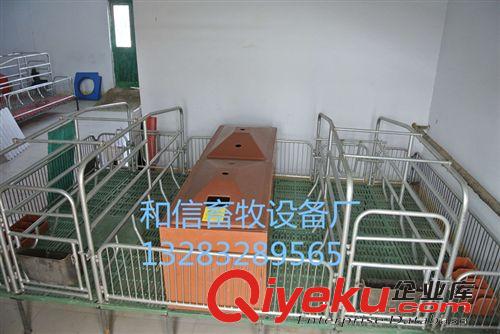 母豬產(chǎn)床 復(fù)合板產(chǎn)床 豬用 復(fù)合板保育床 養(yǎng)豬設(shè)備