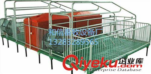 母豬產(chǎn)床 復(fù)合板產(chǎn)床 豬用 復(fù)合板保育床 養(yǎng)豬設(shè)備原始圖片3