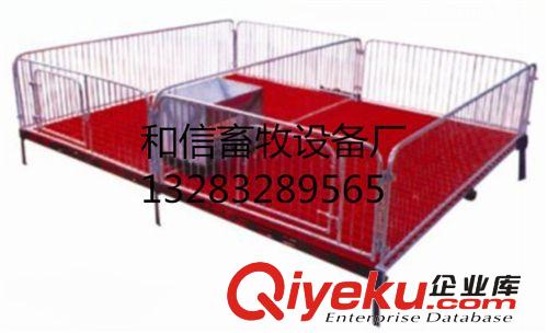 豬舍設(shè)備 復(fù)合板母豬產(chǎn)床 保育床