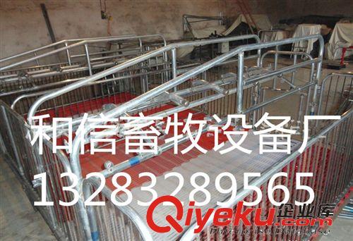 豬舍設(shè)備 保育床 母豬產(chǎn)床 仔豬保育床 定位欄 價(jià)格{zd1}原始圖片2