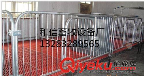 豬舍設(shè)備 保育床 母豬產(chǎn)床 仔豬保育床 定位欄 價(jià)格{zd1}原始圖片3