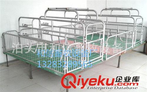 廠家促銷 養(yǎng)豬設(shè)備 復(fù)合板保育床  豬用產(chǎn)床  母豬復(fù)合板產(chǎn)床原始圖片3