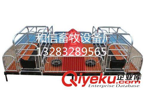 豬場(chǎng)設(shè)備 仔豬保育床原始圖片3