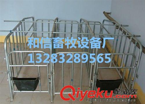 豬舍設(shè)備  定位欄 廠家直銷
