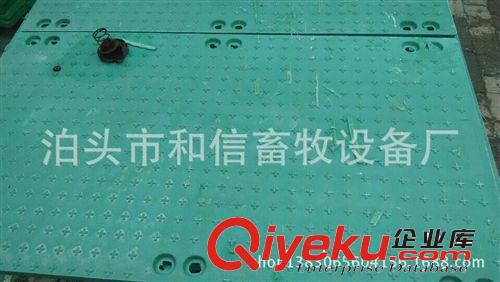 豬用 實(shí)心掛鉤 復(fù)合板 養(yǎng)豬設(shè)備原始圖片2