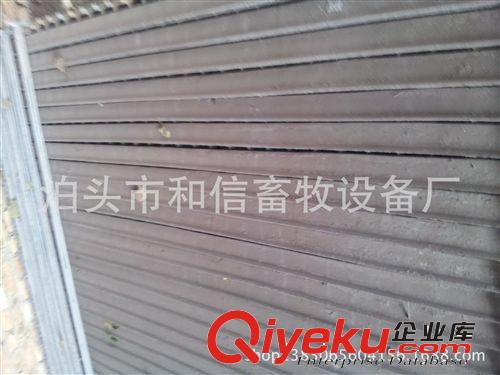 養豬設備    球墨鑄鐵產床配件    豬用球墨鑄鐵保育配件   杠原始圖片3
