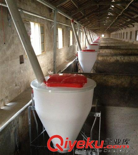 養豬設備/自動干濕料槽/70升45kg原始圖片3