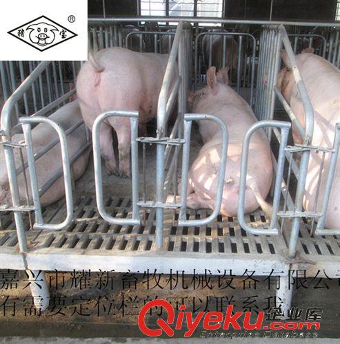 仔豬保育床、保育床、育仔欄、廠家直銷養(yǎng)豬設(shè)備