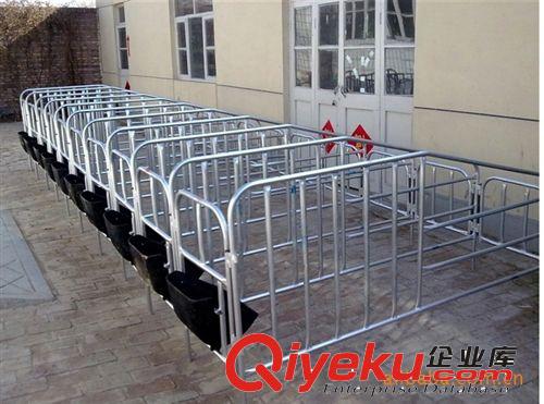 供應(yīng)母豬定位、限位欄 養(yǎng)豬設(shè)備  保育床原始圖片2