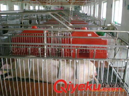 供應(yīng)母豬定位、限位欄 養(yǎng)豬設(shè)備  保育床