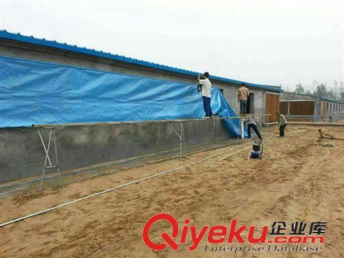 供應優質新料臺灣PE卷簾布 加工 定做 防寒保暖透光不透水卷簾機原始圖片2