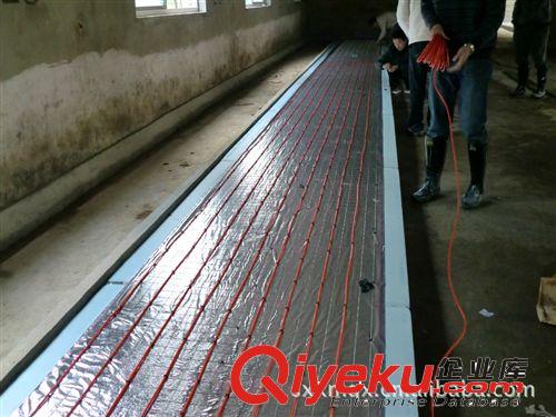 供應養殖場專用恒溫加熱電纜線  恒溫電熱原始圖片2