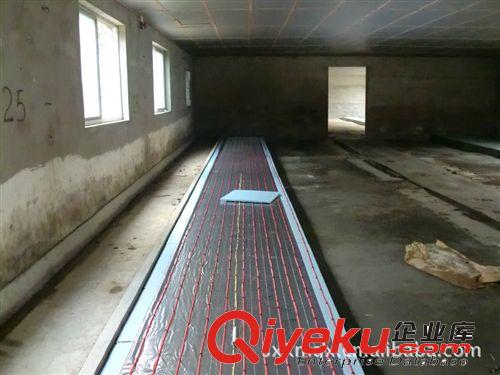 供應養殖場專用恒溫加熱電纜線  恒溫電熱原始圖片3