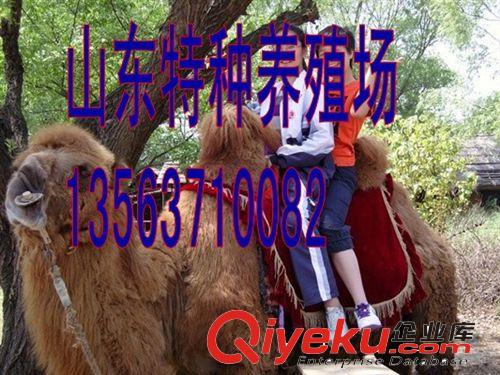 卸妝泡沫 創新技術 徹底解決不好卸妝的問題