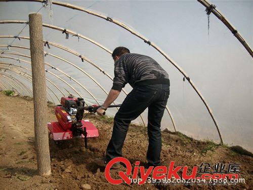 微耕機 家用鋤草機 手推式旋耕除草機 小型松土機原始圖片2