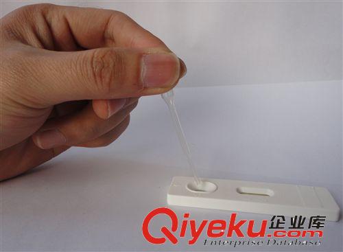 批發(fā)母豬測(cè)孕紙測(cè)孕儀 母豬孕情檢測(cè)紙 送說明書原始圖片2