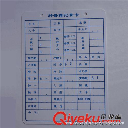 廠家批發 母豬妊娠記錄卡雙面 20cm*15cm 0.7毫米厚
