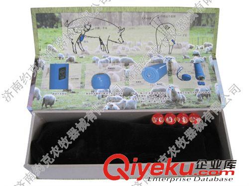 供應(yīng)養(yǎng)殖專(zhuān)用測(cè)孕儀 豬用A超 母豬測(cè)孕儀 豬用測(cè)孕儀 測(cè)量準(zhǔn)確原始圖片3