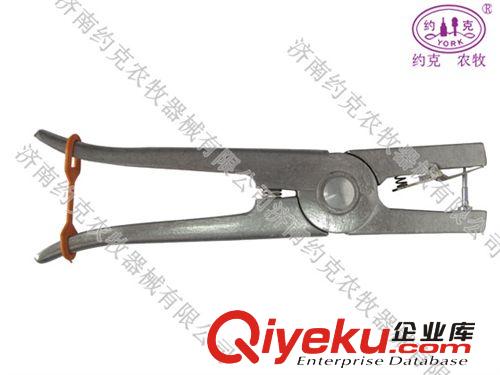 批發(fā)普通帶字耳標(biāo)豬用帶字耳標(biāo)  豬用耳牌  耳標(biāo)牌1付鏈接