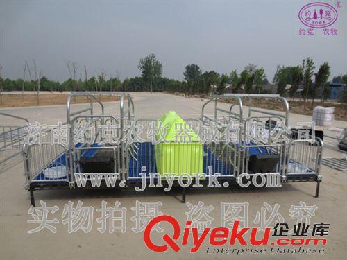 供應(yīng)優(yōu)質(zhì)塑料保溫箱 小豬保溫箱原始圖片3
