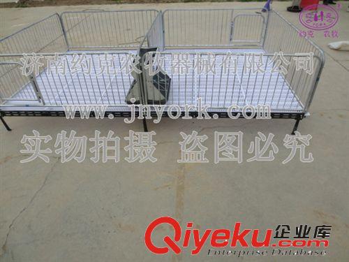 廠家批發零售優質保育床 母豬產床  限位欄 食槽量大從優原始圖片2