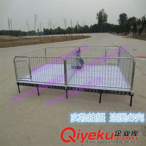供應限位欄 豬用定位欄 母豬限位欄 豬限位欄 一組十個帶食槽n原始圖片2