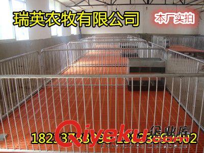 小豬保育床 養(yǎng)豬設(shè)備 養(yǎng)殖設(shè)備 仔豬高培保育欄 獸用器械