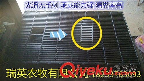 仔豬保育床 小豬保育床  廠家直銷  質量保證