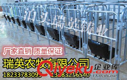 母豬定位欄 限位欄 養(yǎng)豬設(shè)備 母豬產(chǎn)床 養(yǎng)殖設(shè)備 獸用器械
