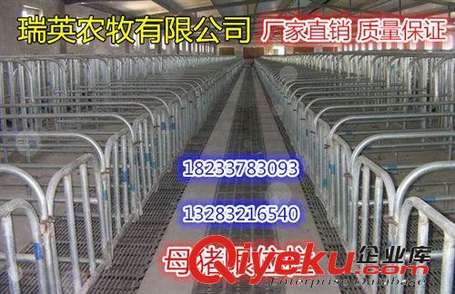 母豬定位欄 限位欄 養(yǎng)豬設(shè)備 母豬產(chǎn)床 養(yǎng)殖設(shè)備 獸用器械