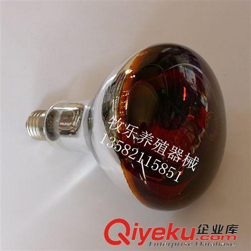 供應(yīng) 紅外線燈150W/250W 育雛用保溫?zé)?取暖燈 紅外線理療燈泡