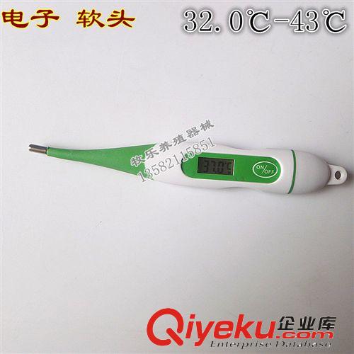 供應(yīng) 豬牛羊?qū)櫸矬w溫表 防水 獸用電子體溫計(jì)