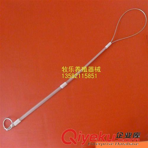 生產(chǎn) 母豬用助產(chǎn)繩 助產(chǎn)器 獸用器械
