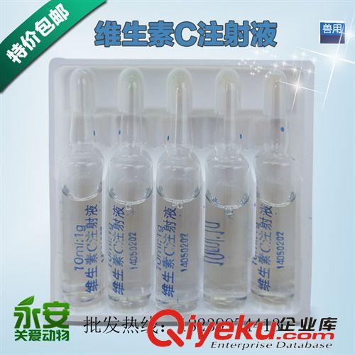 獸藥批發 維生素C注射液 豬牛羊馬騾補充VCtj批發