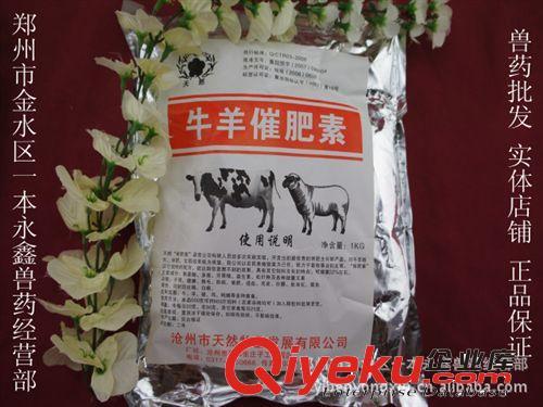 獸用器械批發(fā)/牛馬專用大號自動(dòng)鑄鐵飲水碗/飲水器