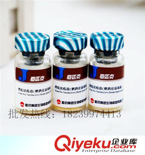 疫苗批發  雞痘活疫苗 化弱毒株  哈藥集團 痘匹克 tj原始圖片2