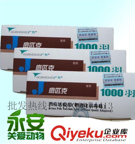 疫苗批發  雞痘活疫苗 化弱毒株  哈藥集團 痘匹克 tj原始圖片3