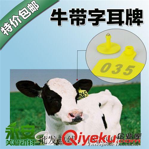 養殖器械批發帶字牛耳標牌 帶銅頭 奶牛帶字耳標牌 大號原始圖片2