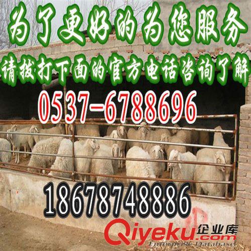 農民養羊專業戶申請書