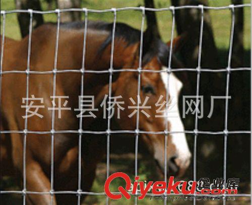 本廠專業定做養殖養馬鋼絲網 養牛圍欄網 養羊防護網