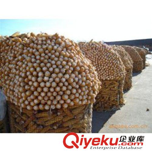 為什么商丘五金土產(chǎn)批發(fā)大戶都進(jìn)鵬煜圈玉米的鐵絲網(wǎng)原始圖片3